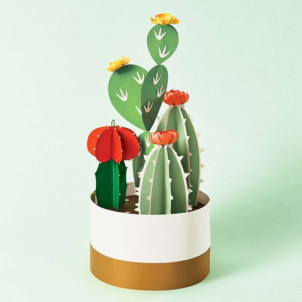 Potted Cactus Kit 1 Potted Cactus Kit