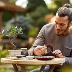 LEGO Bonsai Tree 15 LEGO Bonsai Tree -Paper Source 0673419340533 1