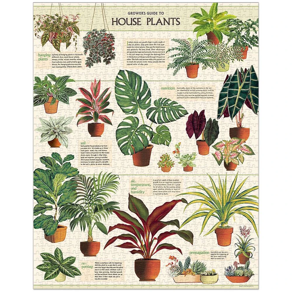 House Plants Puzzle 2 House Plants Puzzle - Image 2