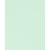Mint Card Stock 8.5" X 11" Bulk Pack