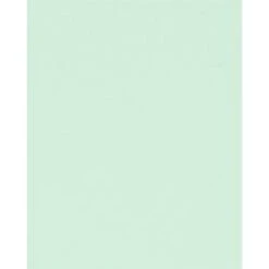 Mint Card Stock 8.5" X 11" Bulk Pack