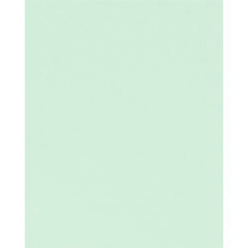 Mint Card Stock 8.5" X 11" Bulk Pack 1 Mint Card Stock 8.5" X 11" Bulk Pack