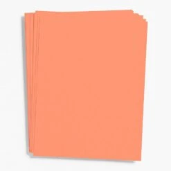 Papaya Paper 8.5" X 11" Bulk Pack