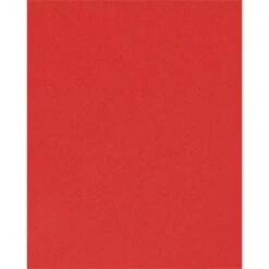Red Card Stock 8.5" X 11" Bulk Pack