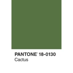Pantone Colors Stationery Set -Paper Source 9781452183831 2